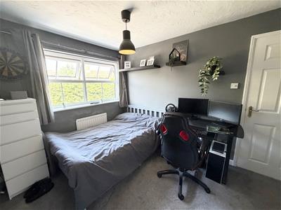 Picture 15